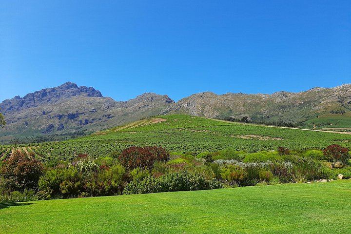 Private Half or Full-Day Cape Winelands Wine Tour: Stellenbosch, Franschhoek, Paarl (5/12)