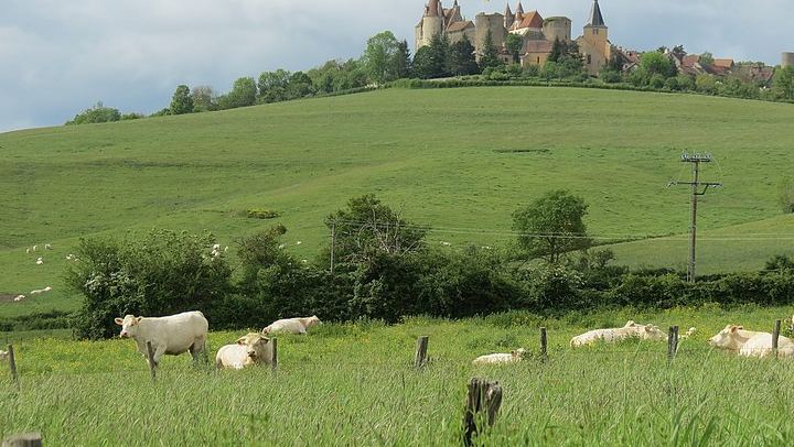 Private Driver-Guide Wine Day Trip from Paris to Beaune, Pommard and Meursault (4/10)