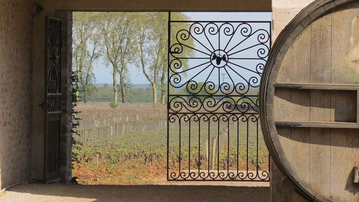 Private Driver-Guide Wine Day Trip from Paris to Beaune, Pommard and Meursault (1/10)