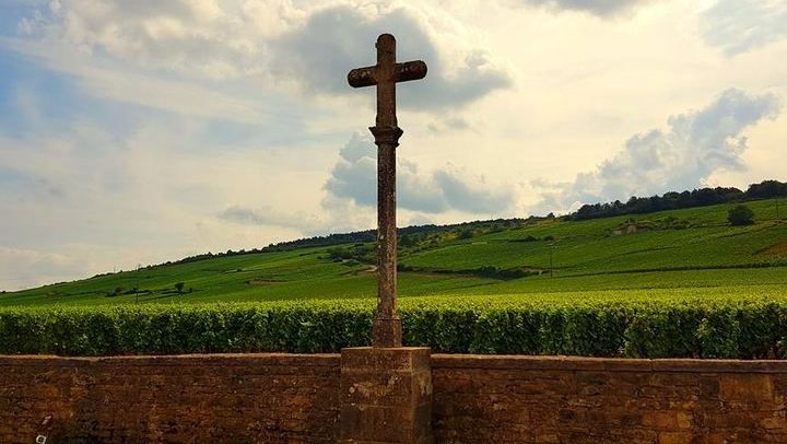 Private Driver-Guide Wine Day Trip from Paris to Beaune, Pommard and Meursault (3/10)