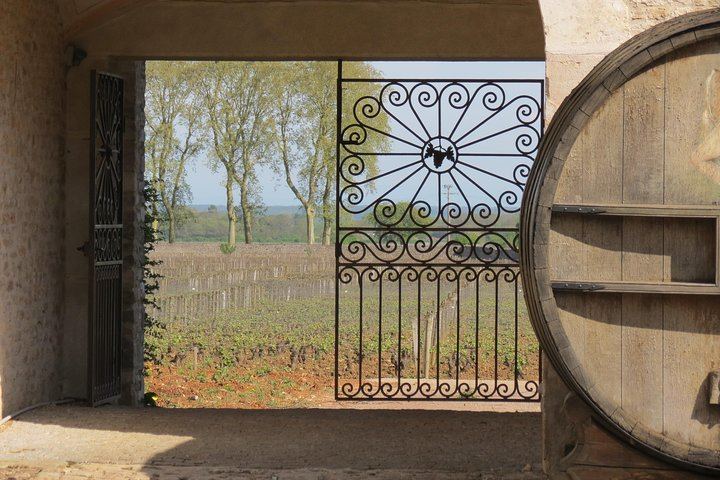 Private Driver-Guide Wine Day Trip from Paris to Beaune, Pommard and Meursault (1/10)