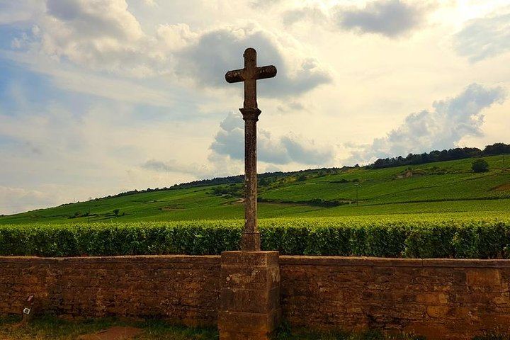 Private Driver-Guide Wine Day Trip from Paris to Beaune, Pommard and Meursault (3/10)