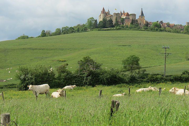 Private Driver-Guide Wine Day Trip from Paris to Beaune, Pommard and Meursault (4/10)
