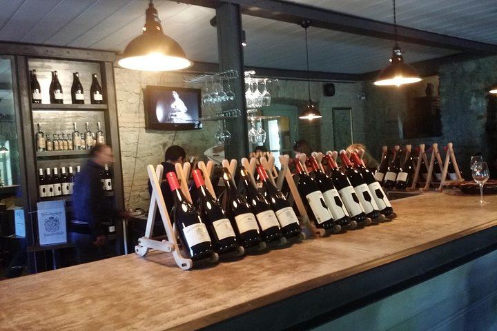 Private Wine Day from Tbilisi: Tsinandali Estate, Shumi Winery and Shuamta (1/12)