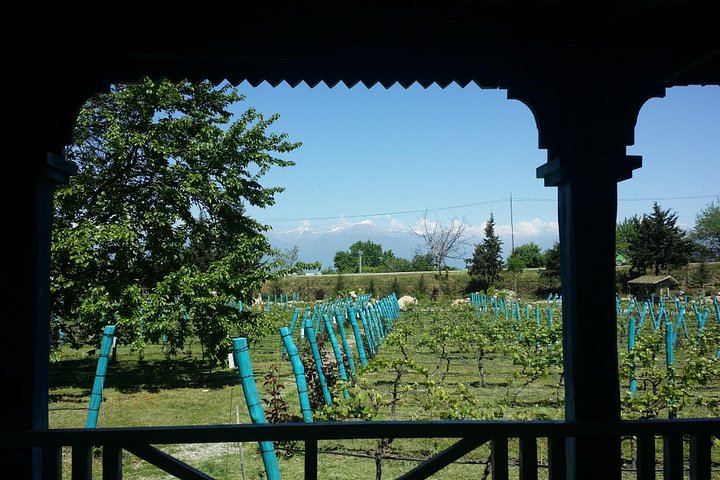 Private Wine Day from Tbilisi: Tsinandali Estate, Shumi Winery and Shuamta (3/12)