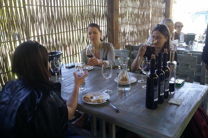 Private Wine Day from Tbilisi: Tsinandali Estate, Shumi Winery and Shuamta (11/12)