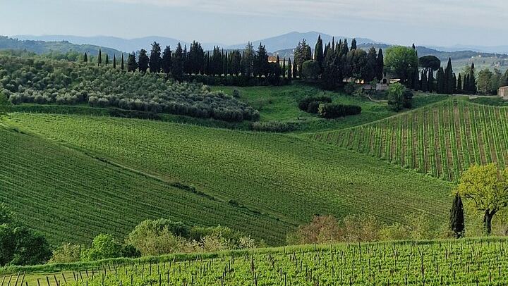 Private Chianti Classico Tour by Mercedes E-Class: Poggio Amorelli Lunch, Gabbiano Castle (3/12)