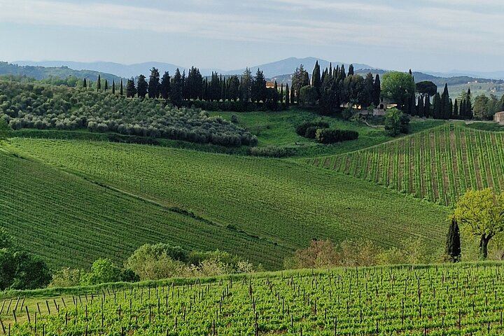 Private Chianti Classico Tour by Mercedes E-Class: Poggio Amorelli Lunch, Gabbiano Castle (3/12)