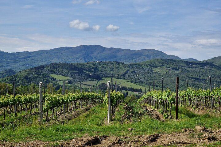 Private Chianti Classico Tour by Mercedes E-Class: Poggio Amorelli Lunch, Gabbiano Castle (11/12)