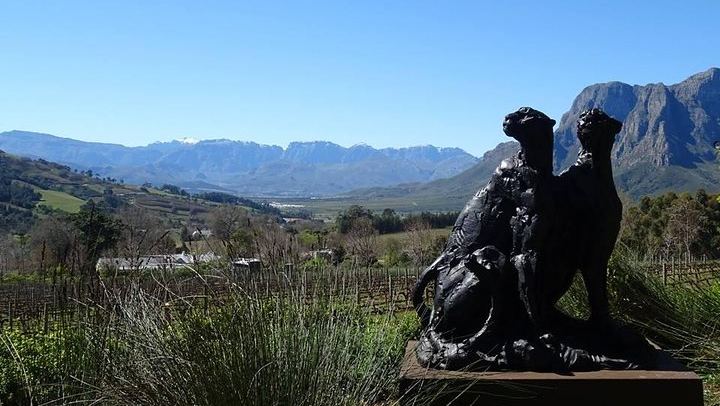 Private Stellenbosch, Franschhoek and Paarl Wine Tour, Four Estates of Your Choice (4/9)
