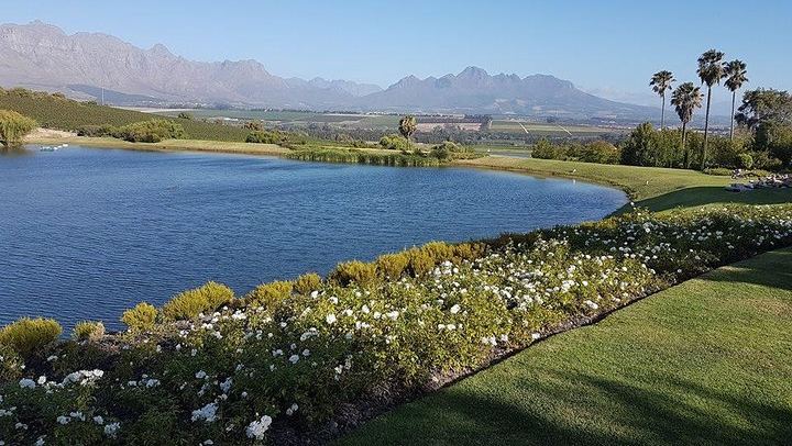 Private Stellenbosch, Franschhoek and Paarl Wine Tour, Four Estates of Your Choice (2/9)
