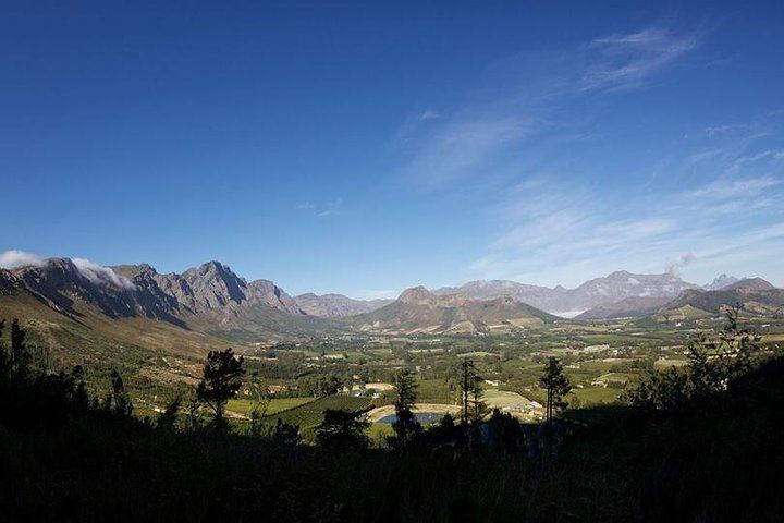 Private Stellenbosch, Franschhoek and Paarl Wine Tour, Four Estates of Your Choice (6/9)