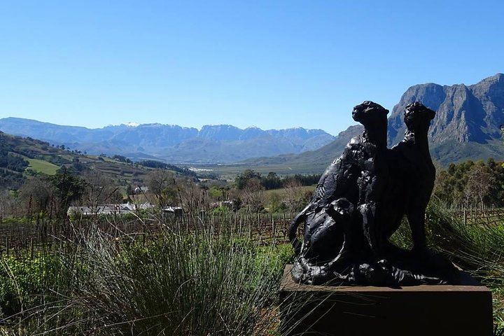 Private Stellenbosch, Franschhoek and Paarl Wine Tour, Four Estates of Your Choice (4/9)