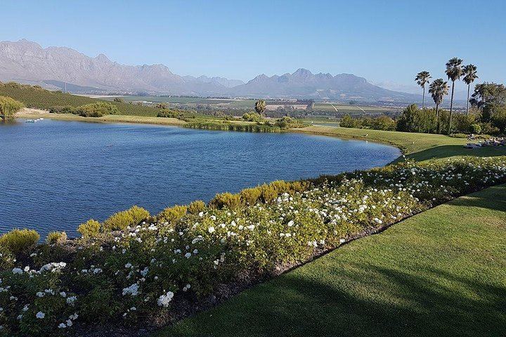 Private Stellenbosch, Franschhoek and Paarl Wine Tour, Four Estates of Your Choice (2/9)