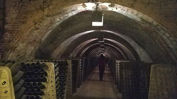 Private Penedès Wine and Cava Tasting Tour from Barcelona with Hotel Pickup (4/10)