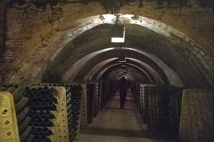 Private Penedès Wine and Cava Tasting Tour from Barcelona with Hotel Pickup (4/10)