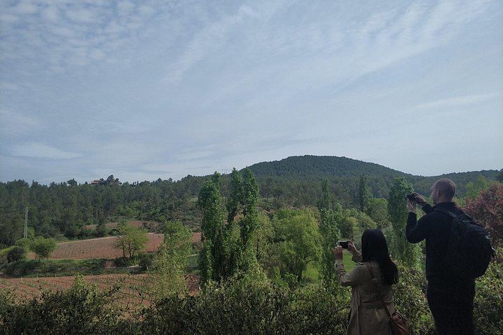 Half-Day Private Pla de Bages Wine and Olive Oil Tasting from Barcelona, Montserrat Views (1/12)
