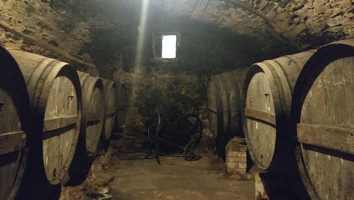 Half-Day Private Pla de Bages Wine and Olive Oil Tasting from Barcelona, Montserrat Views (2/12)