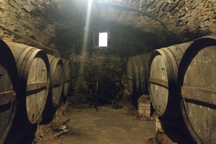 Half-Day Private Pla de Bages Wine and Olive Oil Tasting from Barcelona, Montserrat Views (2/12)