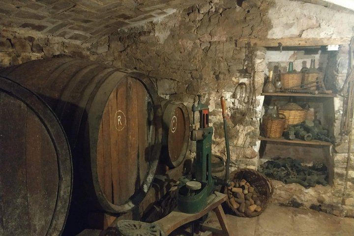 Half-Day Private Pla de Bages Wine and Olive Oil Tasting from Barcelona, Montserrat Views (5/12)