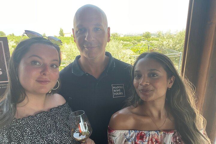 Private Vesuvius Vineyard Walk and Wine Lunch, NWT Sommelier, Transfer from Naples (7/12)