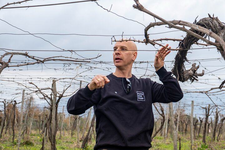 Private Vesuvius Vineyard Walk and Wine Lunch, NWT Sommelier, Transfer from Naples (11/12)