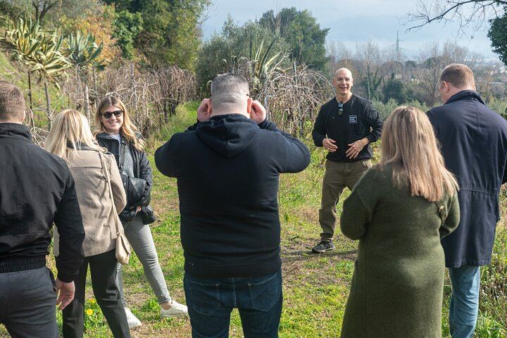 Private Vesuvius Vineyard Walk and Wine Lunch, NWT Sommelier, Transfer from Naples (9/12)