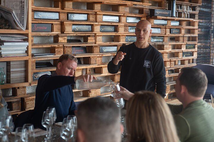 Private Vesuvius Vineyard Walk and Wine Lunch, NWT Sommelier, Transfer from Naples (8/12)