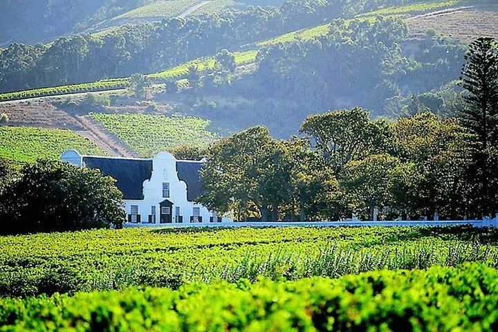 Private Winelands Wine Tasting: Stellenbosch and Franschhoek from Cape Town (3/8)