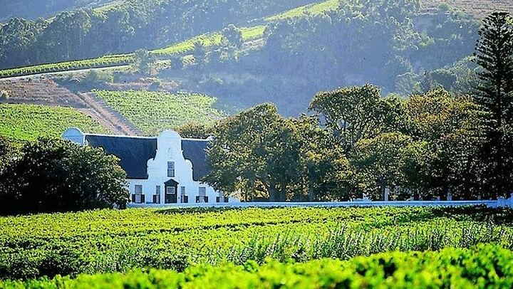 Private Winelands Wine Tasting: Stellenbosch and Franschhoek from Cape Town (3/8)
