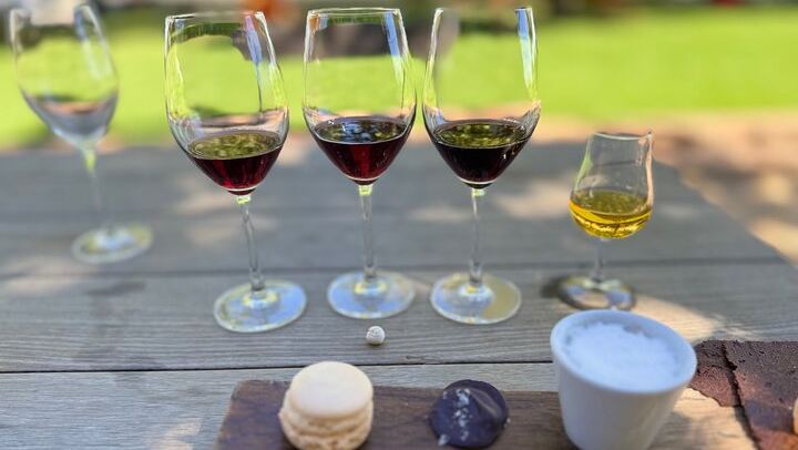 Private Winelands Wine Tasting: Stellenbosch and Franschhoek from Cape Town (1/8)