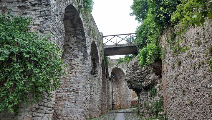 Prosecco DOCG Day Trip from Venice or Treviso: Cartizze Vineyards and 2 Historic Wineries (3/12)