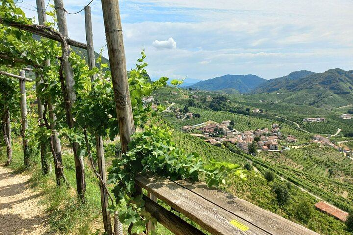 Prosecco DOCG Day Trip from Venice or Treviso: Cartizze Vineyards and 2 Historic Wineries (1/12)