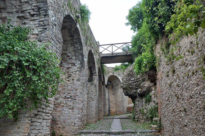 Prosecco DOCG Day Trip from Venice or Treviso: Cartizze Vineyards and 2 Historic Wineries (3/12)