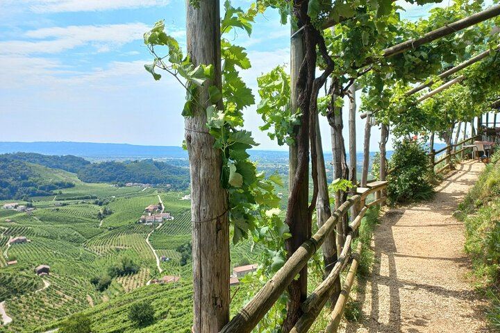 Prosecco DOCG Day Trip from Venice or Treviso: Cartizze Vineyards and 2 Historic Wineries (10/12)
