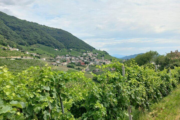 Prosecco DOCG Day Trip from Venice or Treviso: Cartizze Vineyards and 2 Historic Wineries (2/12)
