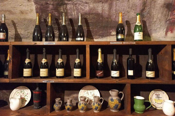 Prosecco DOCG Day Trip from Venice or Treviso: Cartizze Vineyards and 2 Historic Wineries (8/12)