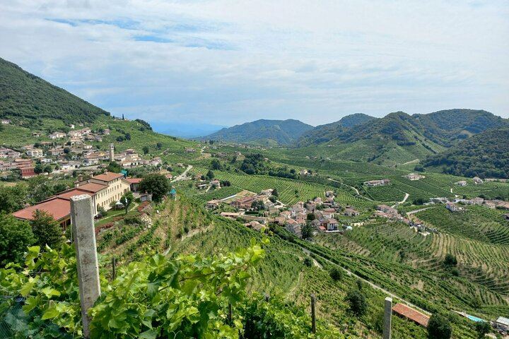 Prosecco DOCG Day Trip from Venice or Treviso: Cartizze Vineyards and 2 Historic Wineries (6/12)
