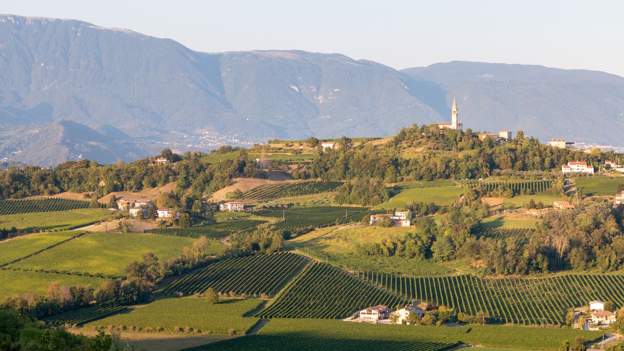 Vineyards and a hilltop bell tower in the Prosecco hills with mountains behind, Veneto