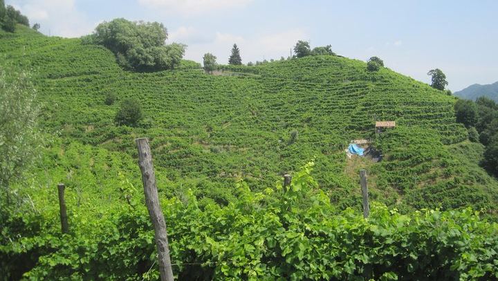 Full-Day Prosecco Tour from Venice Tronchetto: Sommelier Guide, Two Wineries and Lunch (2/8)