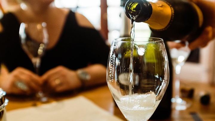 Full-Day Prosecco Tour from Venice Tronchetto: Sommelier Guide, Two Wineries and Lunch (1/8)