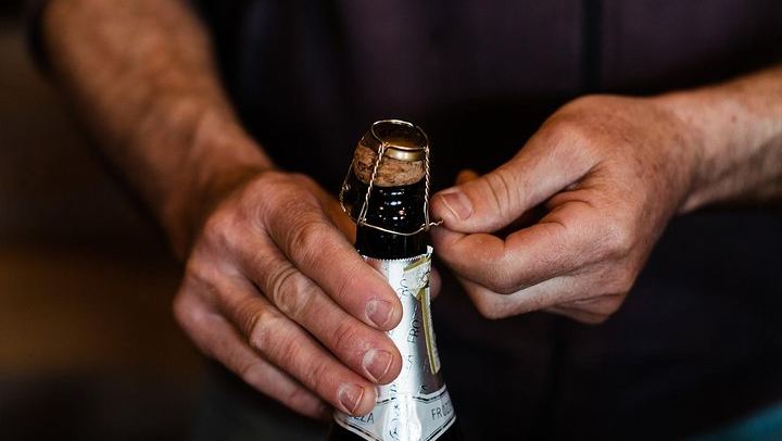 Full-Day Prosecco Tour from Venice Tronchetto: Sommelier Guide, Two Wineries and Lunch (3/8)