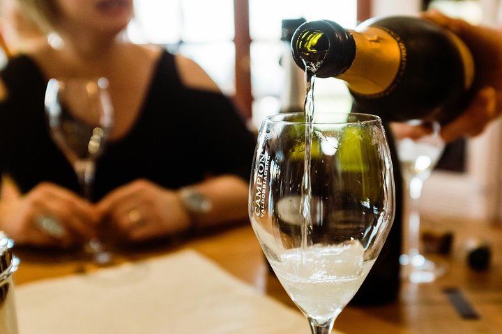 Full-Day Prosecco Tour from Venice Tronchetto: Sommelier Guide, Two Wineries and Lunch (1/8)