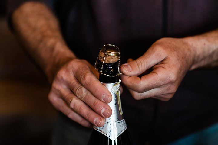 Full-Day Prosecco Tour from Venice Tronchetto: Sommelier Guide, Two Wineries and Lunch (3/8)