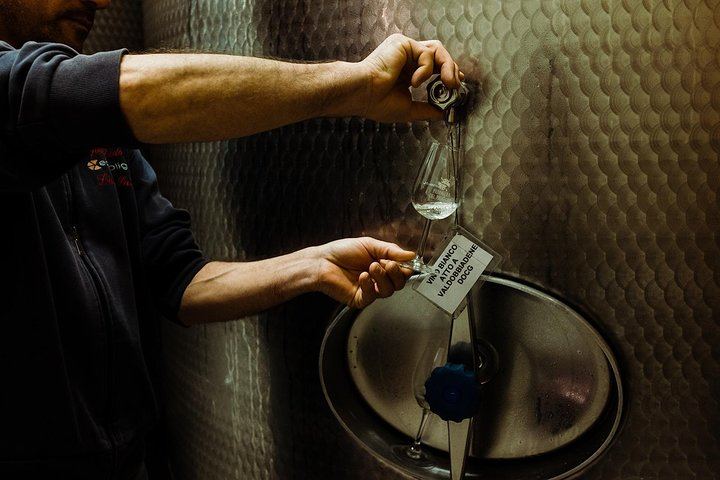 Full-Day Prosecco Tour from Venice Tronchetto: Sommelier Guide, Two Wineries and Lunch (8/8)