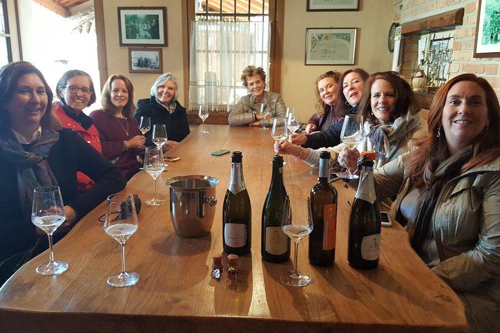 Full-Day Prosecco Tour from Venice Tronchetto: Sommelier Guide, Two Wineries and Lunch (6/8)