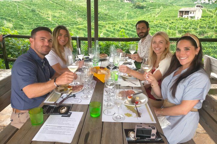 Full-Day Prosecco Tour from Treviso Station: Sommelier Guide, 2 Family Wineries (3/12)