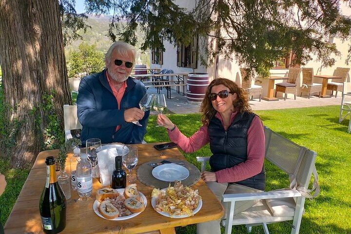 Full-Day Prosecco Tour from Treviso Station: Sommelier Guide, 2 Family Wineries (7/12)