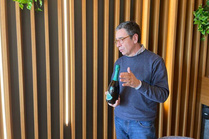 Full-Day Prosecco Tour from Treviso Station: Sommelier Guide, 2 Family Wineries (12/12)