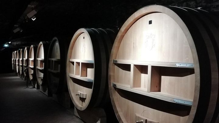 Small-Group Half-Day Wine Tour from Avignon via Gigondas and Châteauneuf-du-Pape (4/4)